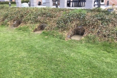 Photo emplacement de la future terrasse