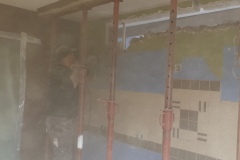 brandt-12a